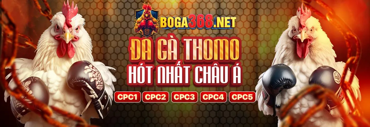 Điều khoản & Điều kiện của SV888, một bản thỏa thuận pháp lý quan trọng