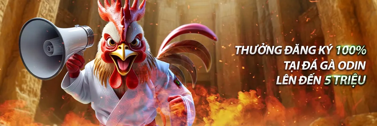 Hình ảnh đại diện nohu 79, nền tảng cá cược trực tuyến hàng đầu Việt Nam